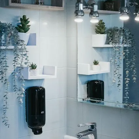 Apartment Rue Bien Assis Avec Jardin Terrasse