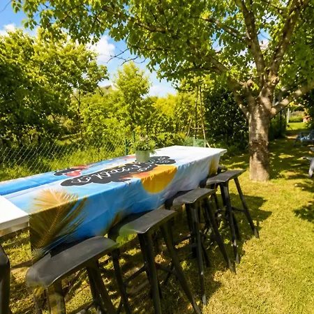 F2 Jardin Jaccuzzi En Option * Clermont-Ferrand